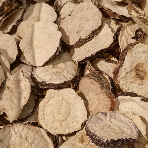 Maca Root