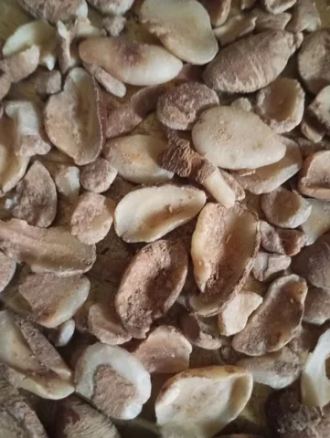 African Mango Seed